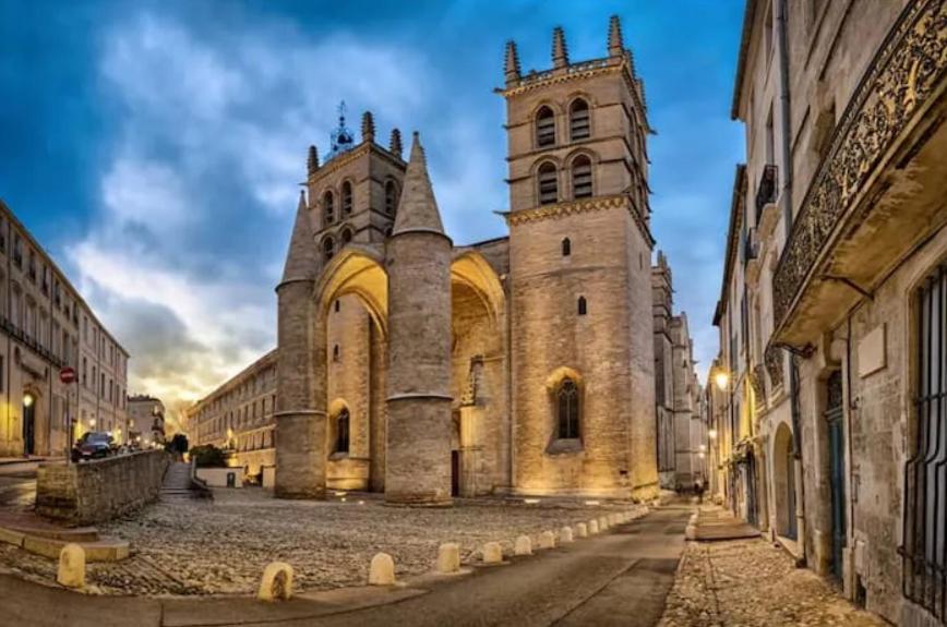 Place De La Comedie - Magnifique T2 Au Calme Montpellier Bagian luar foto
