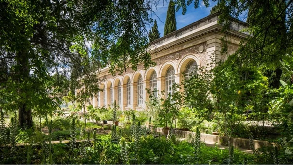 Place De La Comedie - Magnifique T2 Au Calme Montpellier Bagian luar foto